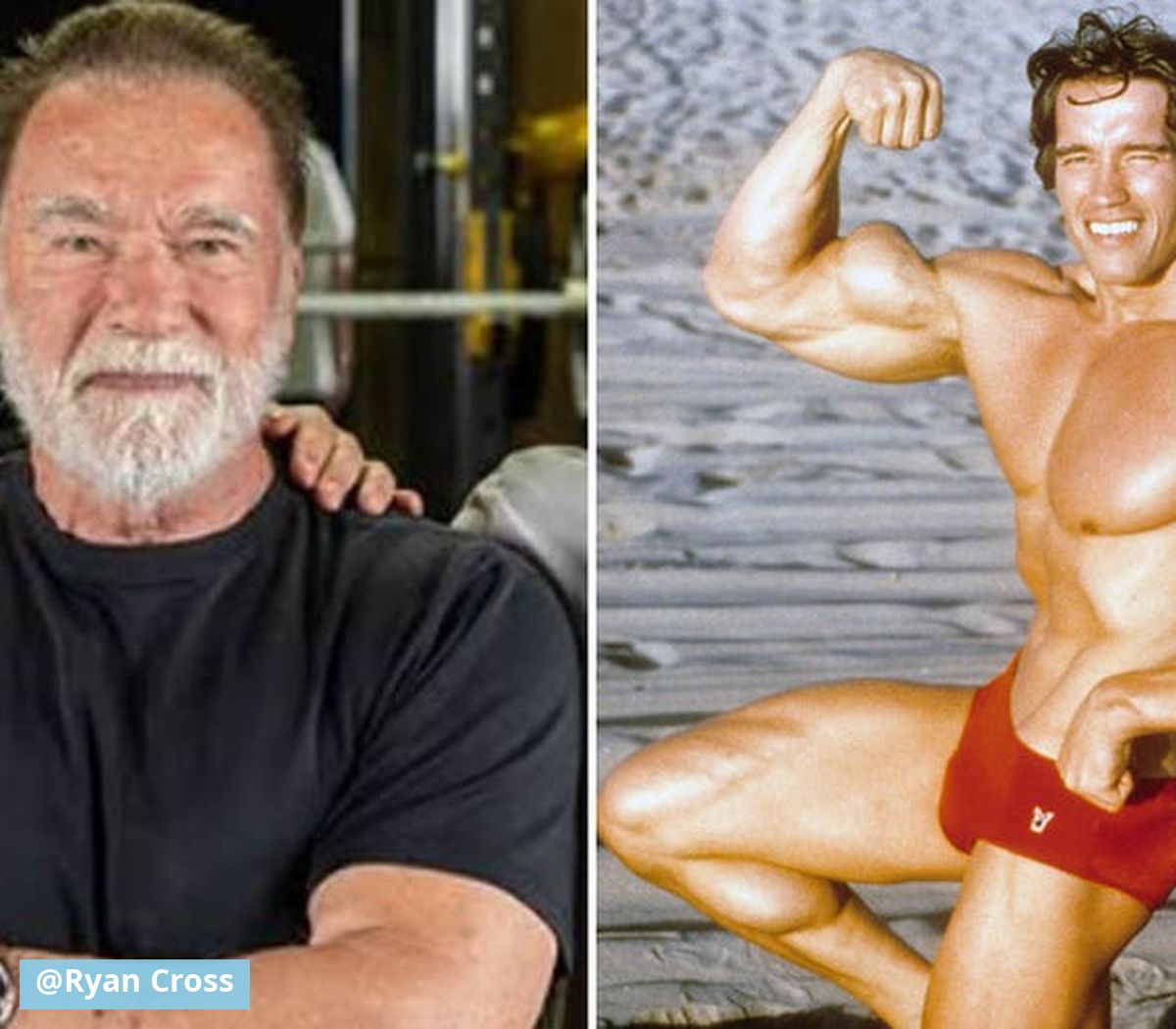 Arnold Schwarzenegger Just Destroyed 4 TikTok Fitness Lies