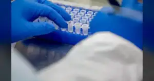 Cicada' Variant: Panic Is Spreading Faster Than The Virus