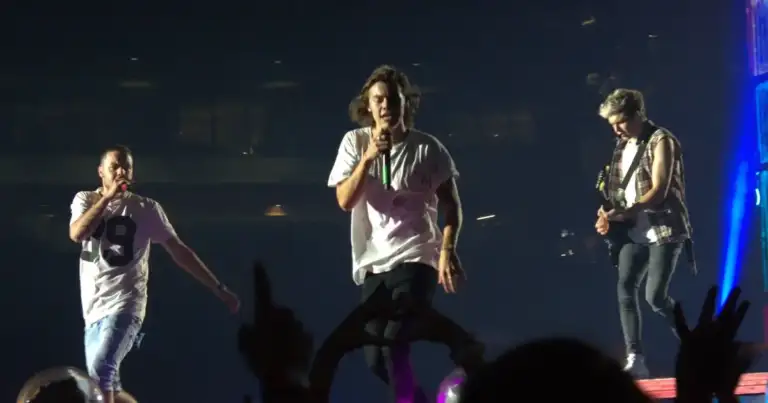 Niall Horan Snubs Harry Styles, Zoë Kravitz Winter Wedding.