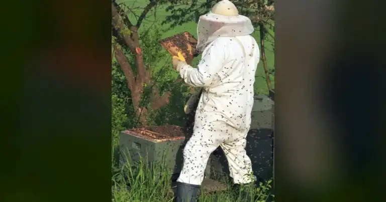 Rosie & Jason Own Beekeeper Premiere in London